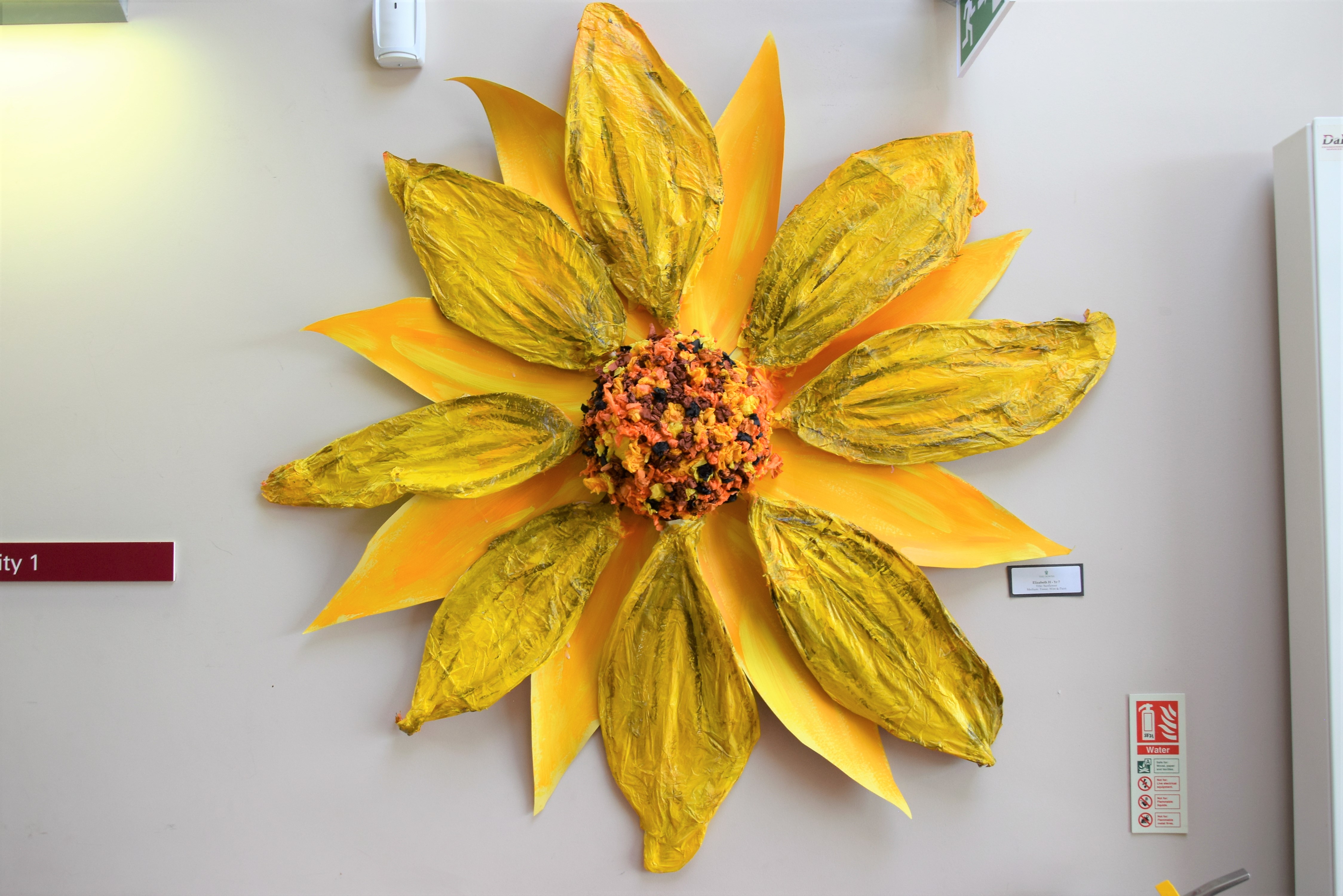 SATIPS 2019 Artwork on Display